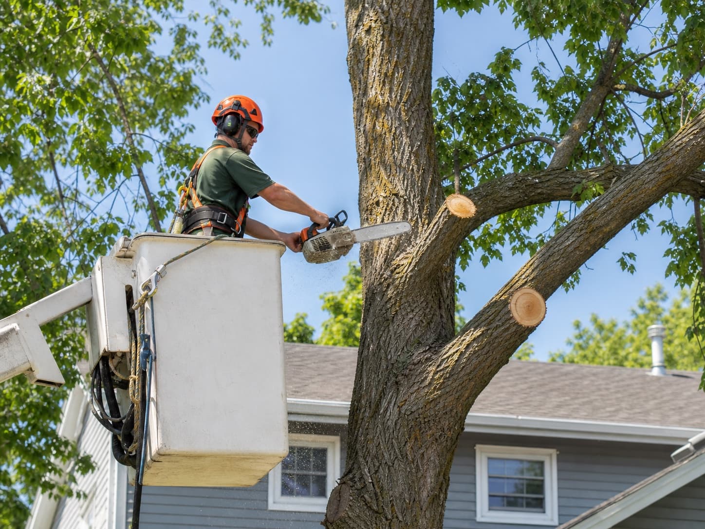 A tree service professional pruning a mature residential tree